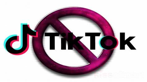 What Are the Consequences of EU Suspending TikTok on Official Phones?