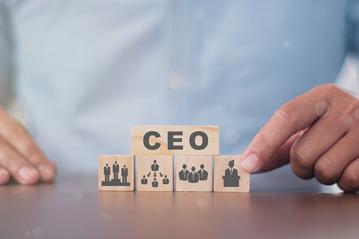 The Challenges of Being a Chief Executive Officer