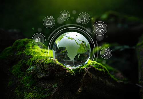 The Impact of Sustainable Tech on the Environment