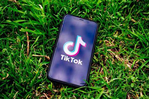 What Are the Implications that New Zealand’s Ban on TikTok ?